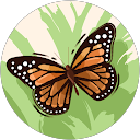 Rachel Benoliel profile picture